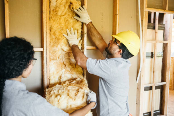 Best Energy-efficient Insulation  in Bakerstown, PA