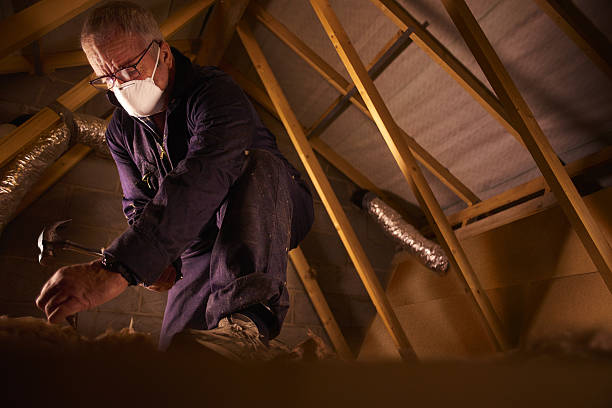 Best Insulation Removal  in Bakerstown, PA